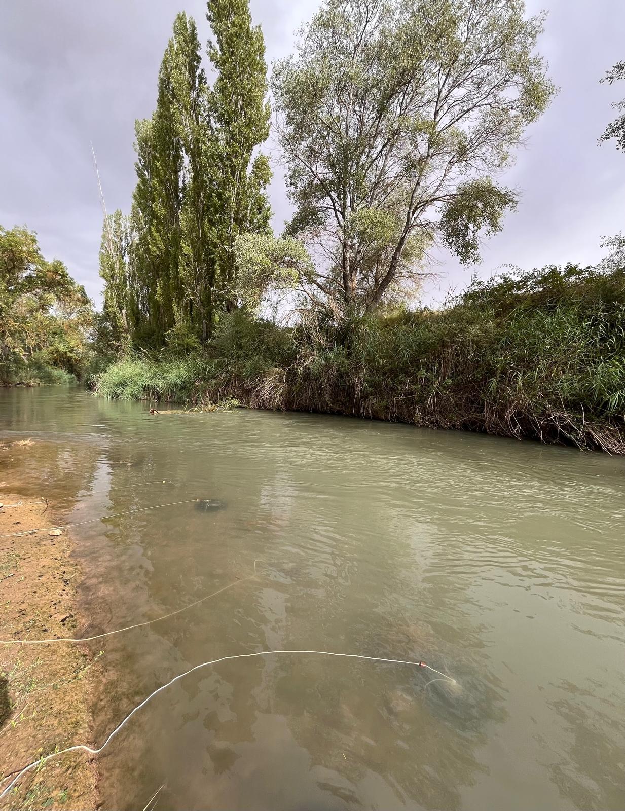 River with nets in the water